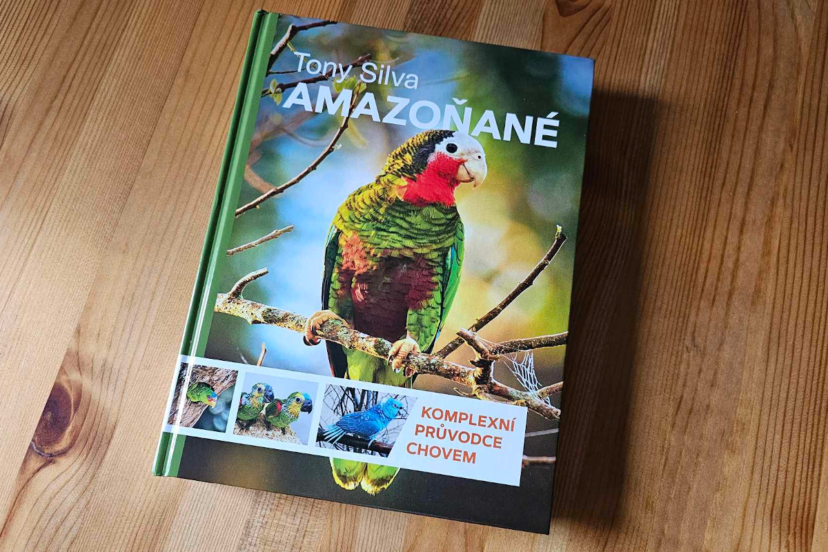 Amazoňané od Tonyho Silvy: Kniha, která tu ještě nebyla a asi jen tak nebude