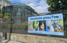 Botanická zahrada 2026