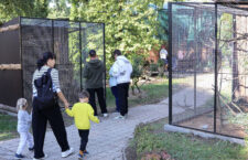 Papouščí stezka v Zoo Hodonín
