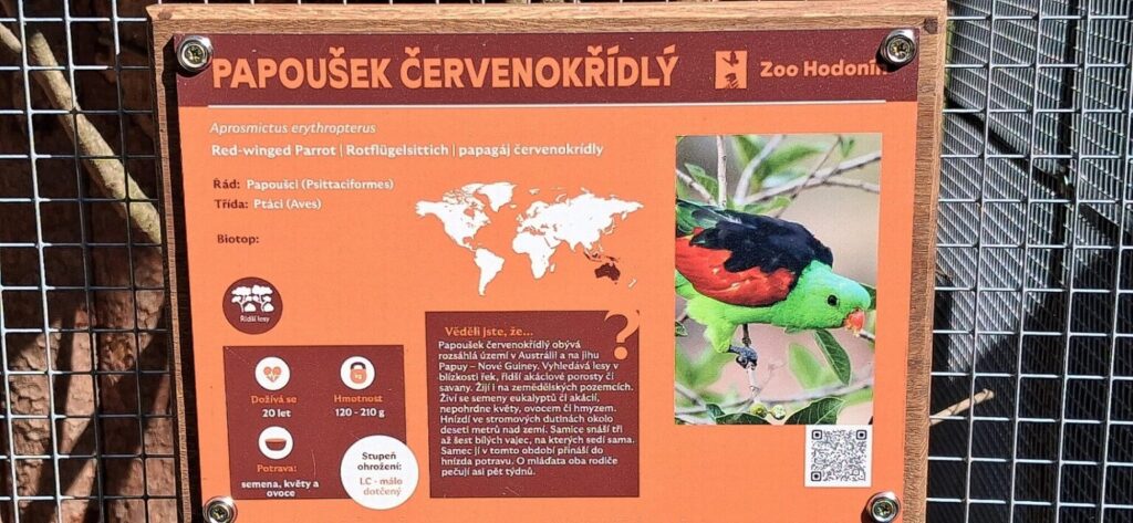 Ukázka budoucí expozice papoušků červenokřídlých. Foto: Zoo Hodonín