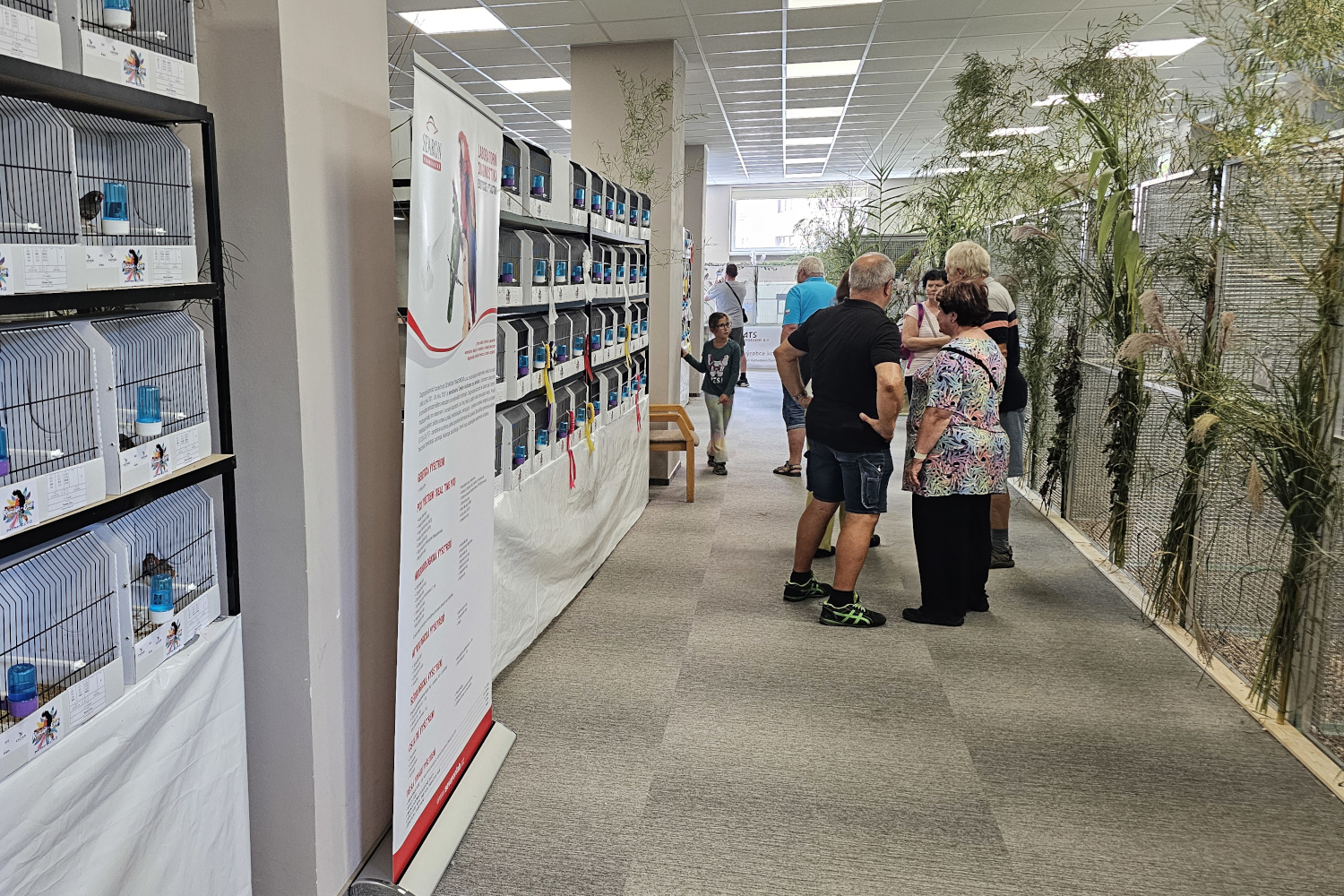 Pardubice hostí výstavu Pod křídly exotů, k vidění je 13 druhů arů či mluvící loskutáci